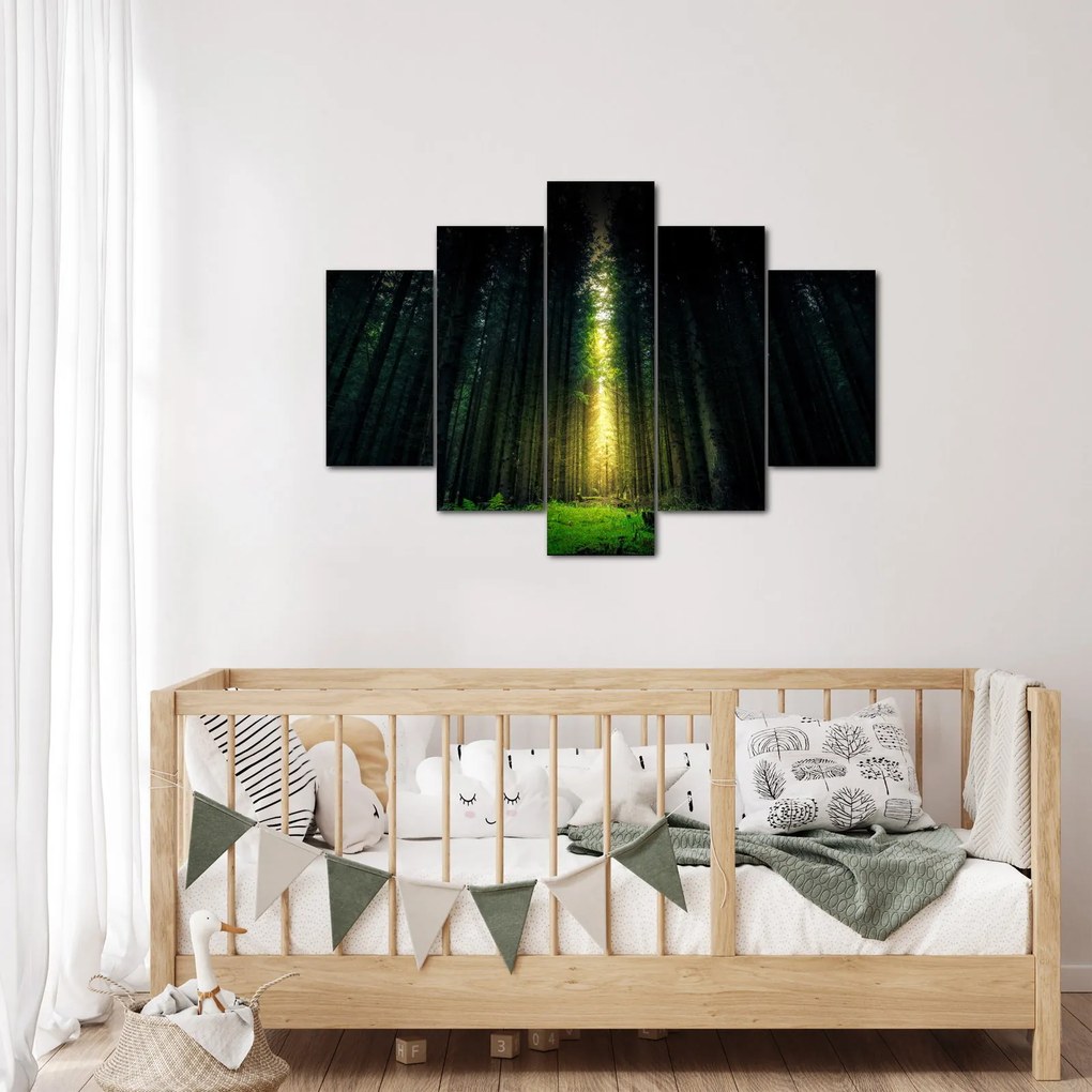 Sötét erdő képe (150x105 cm)