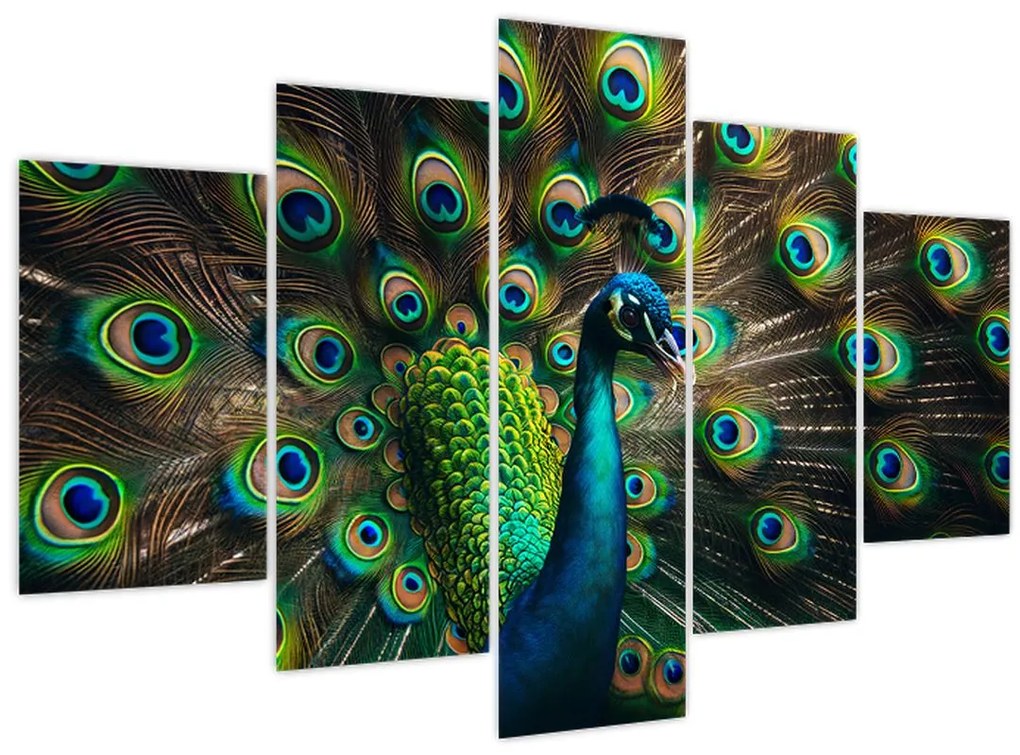 Kép – Pávatoll (150x105 cm)