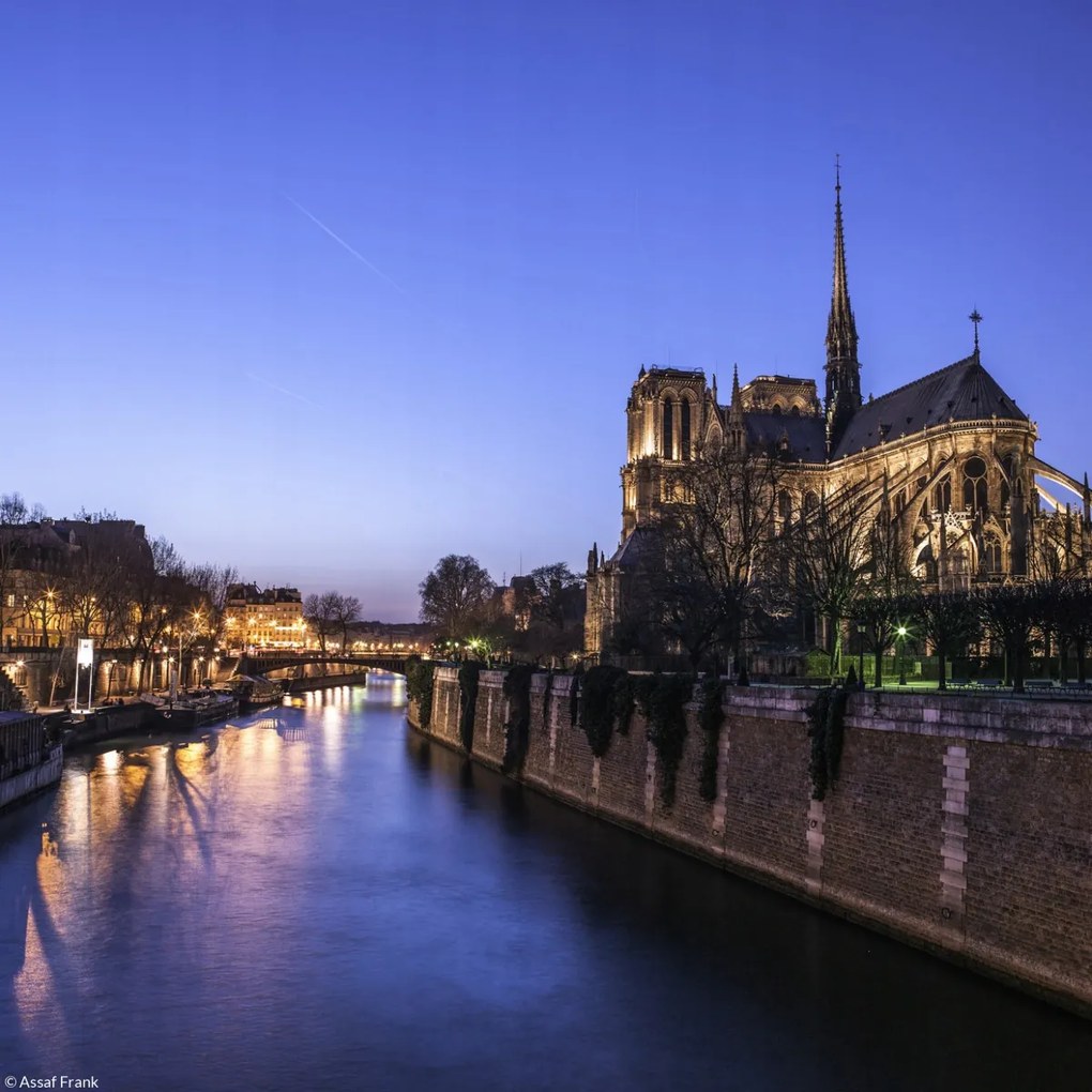 Poszter 20x20cm Notre-Dame de Paris éjszaka 2, Assaf Frank