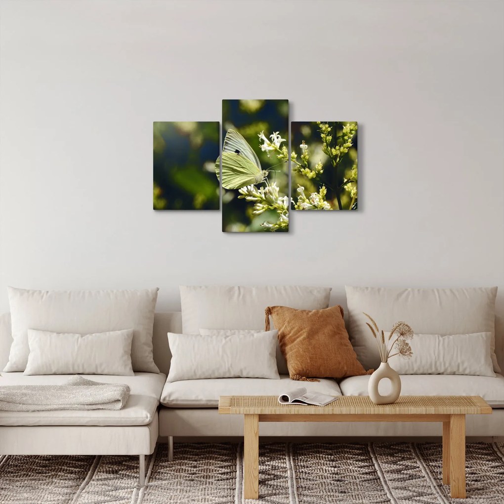 Pillangó képe (90x60 cm)