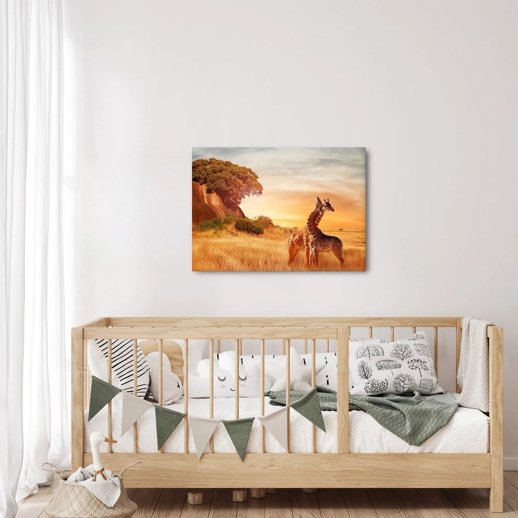 Kép - Zsiráfok Afrikában (70x50 cm)