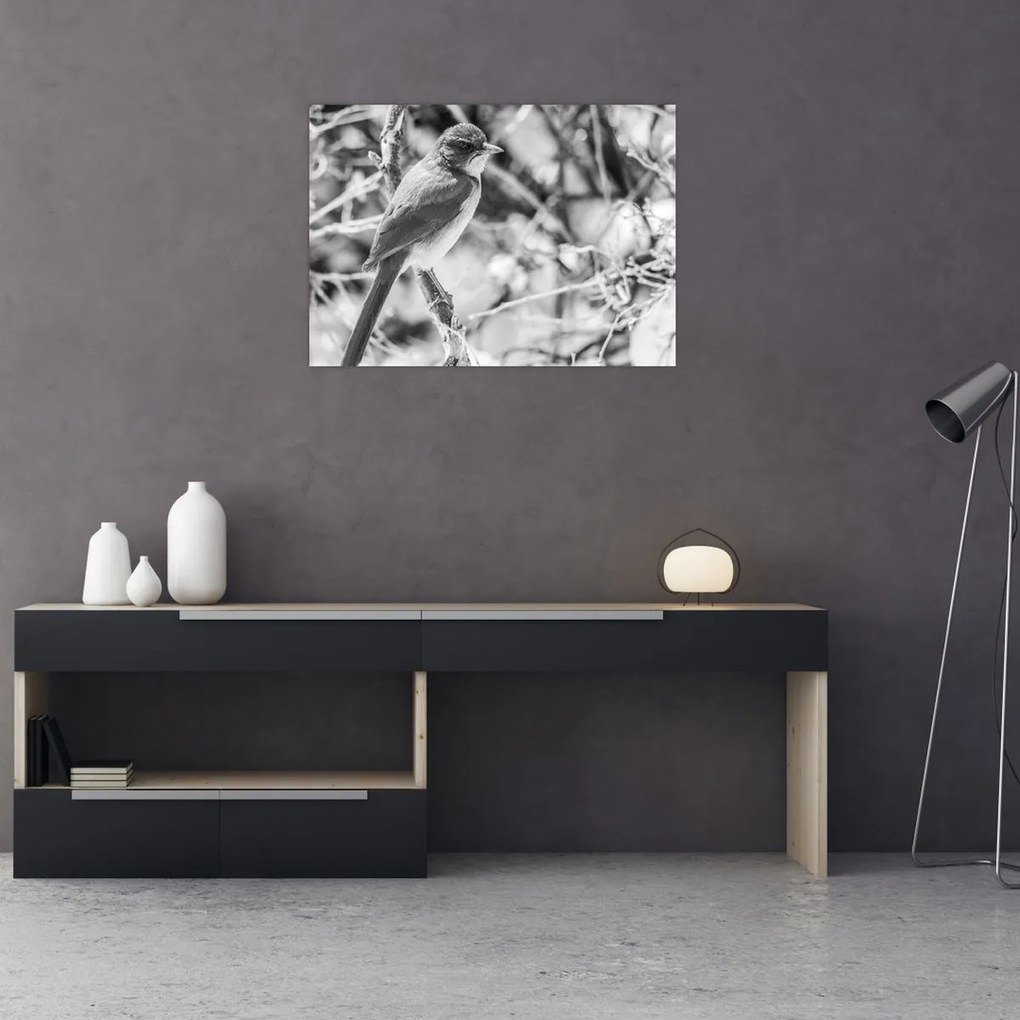 Kép - Kék madár télen (70x50 cm)
