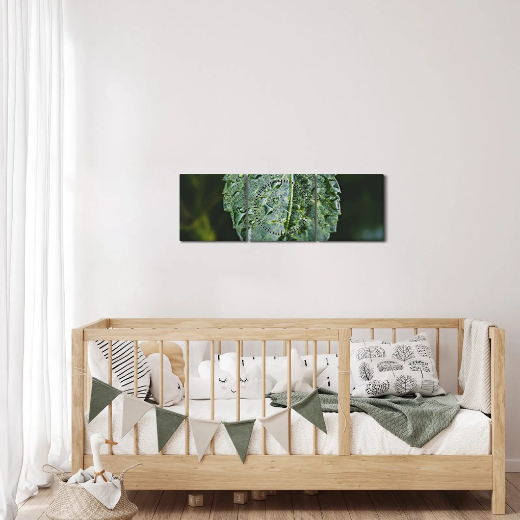 Kép - cseppek a levelen (órával) (90x30 cm)
