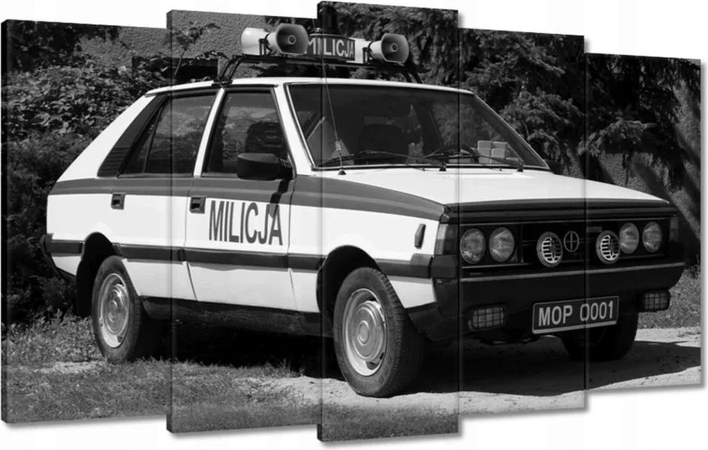 Festmények 100x60 Polonez Milícia
