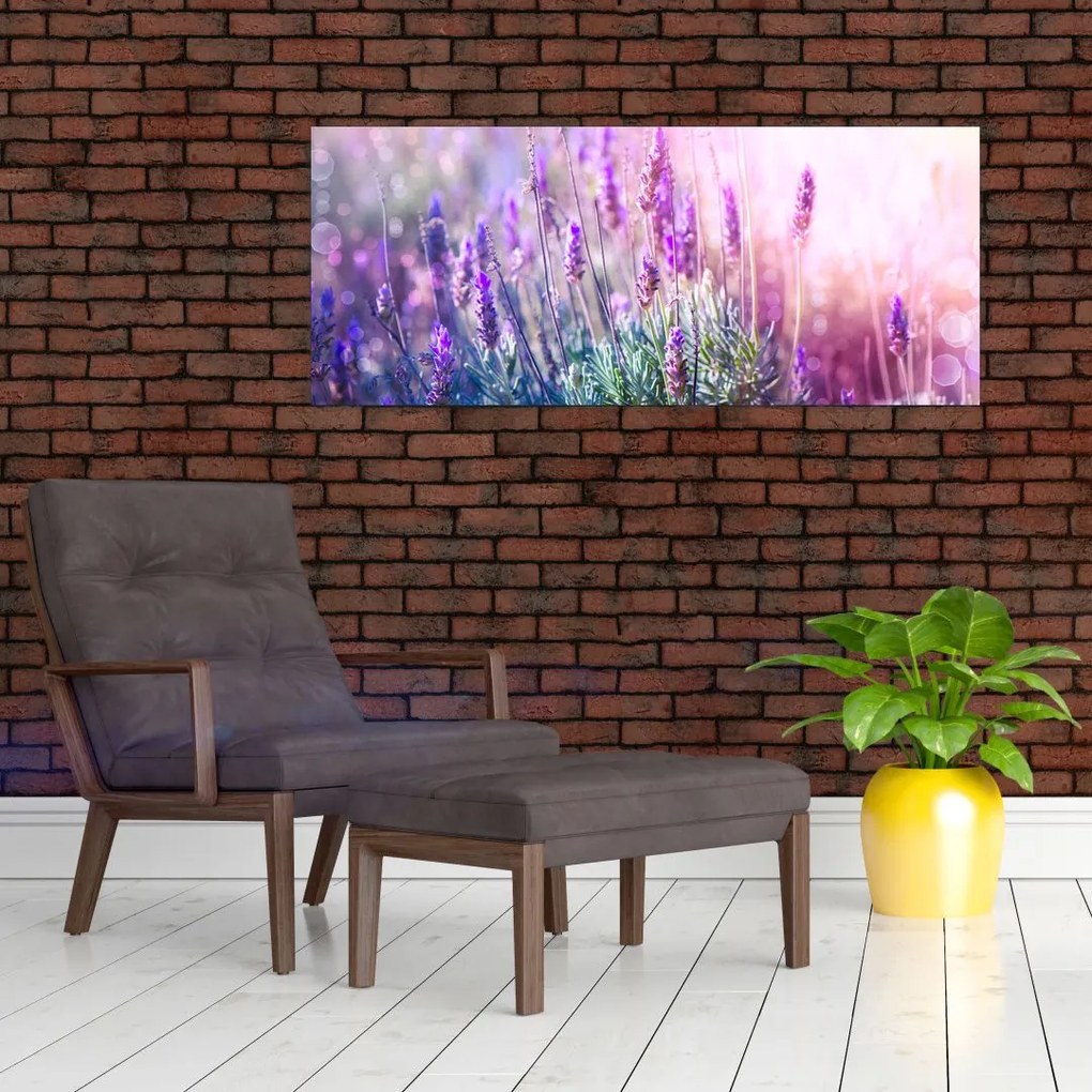 Kép - Levendula a csillogó napban (120x50 cm)