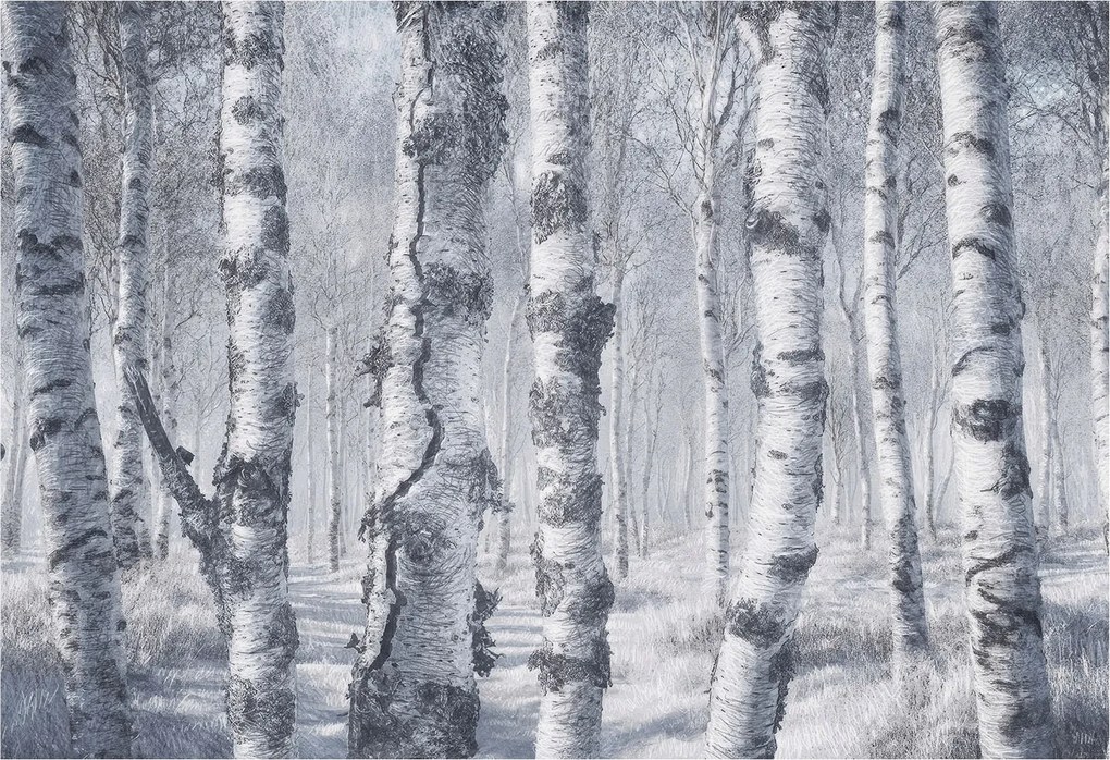 Fotótapéta Flizelin Hálószoba és Nappali Tapéta Fagyos természet 152x104