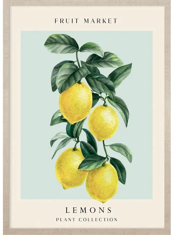 Levitaiting lemons kép