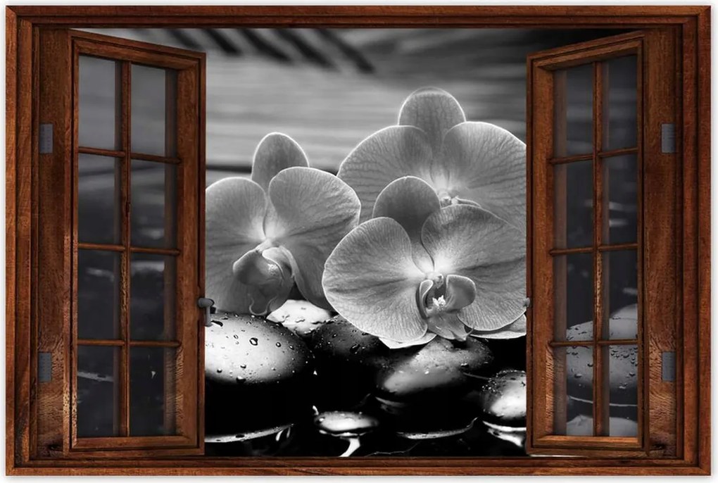 Poszterek 120x80 Orchideák a köveken