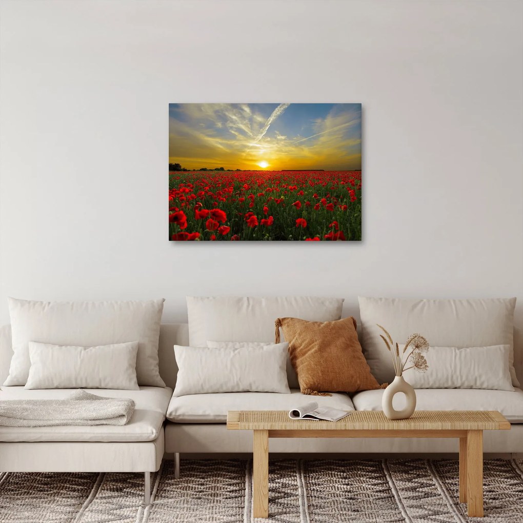 Egy kép a pipacs mezőről (70x50 cm)