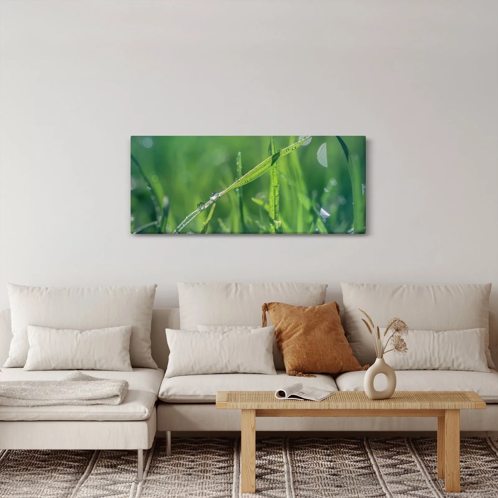 Harmat cseppek képe (120x50 cm)
