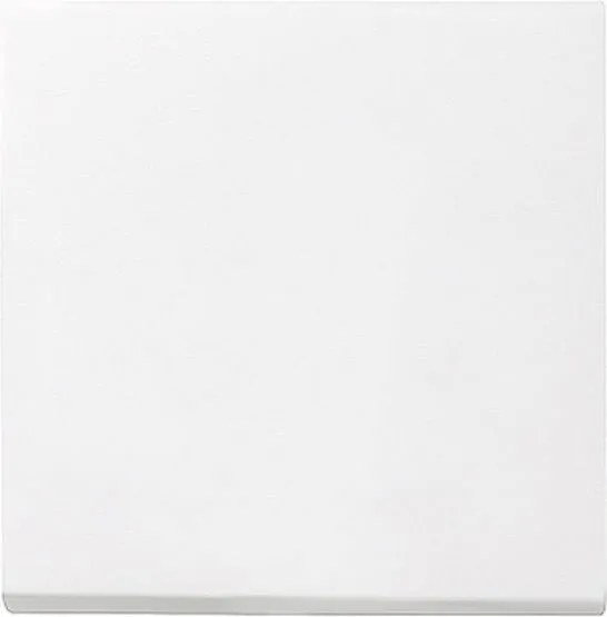 Egygombos fehér fényes Gira System 55 029603