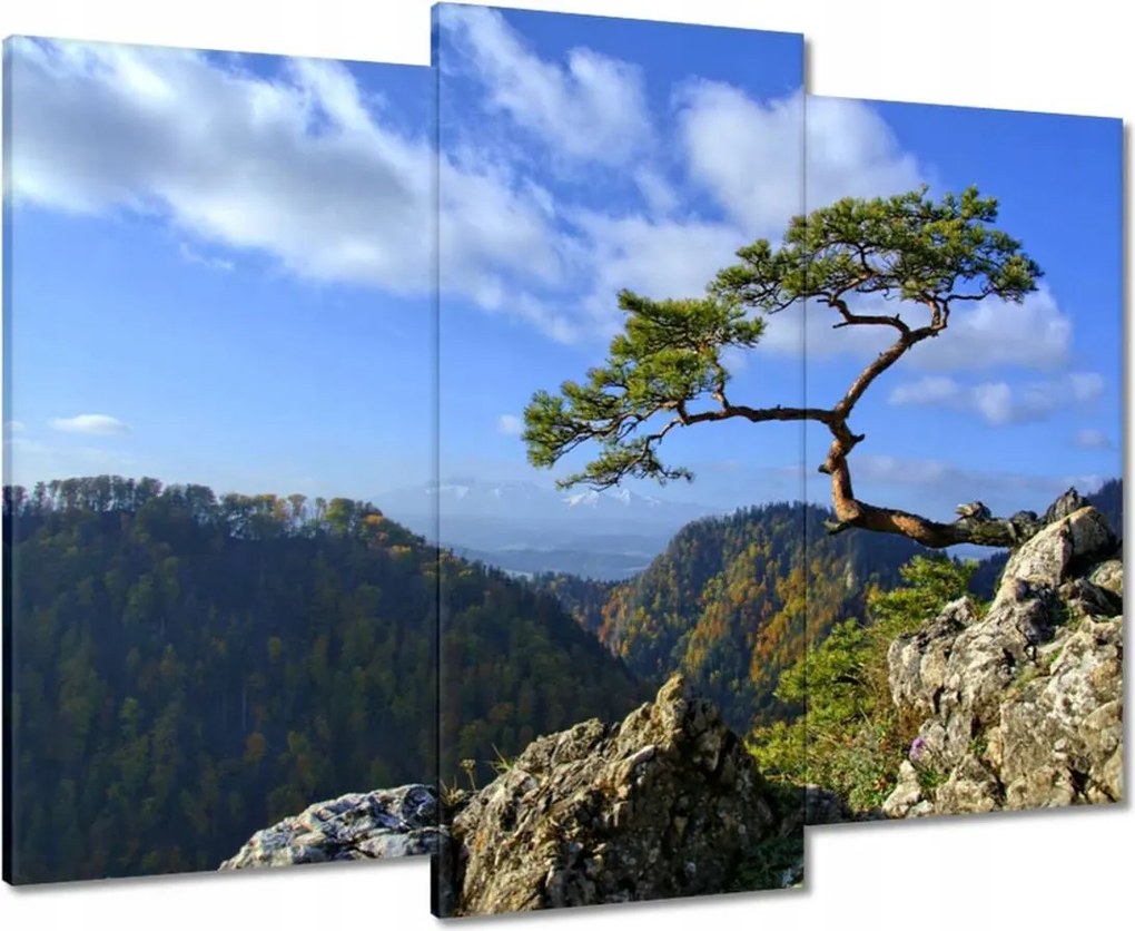 Vászonkép 90x70 Tájképek Kilátások Tájképek