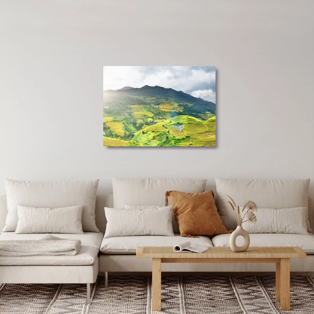 Ültetvények képe (üvegen) (70x50 cm)