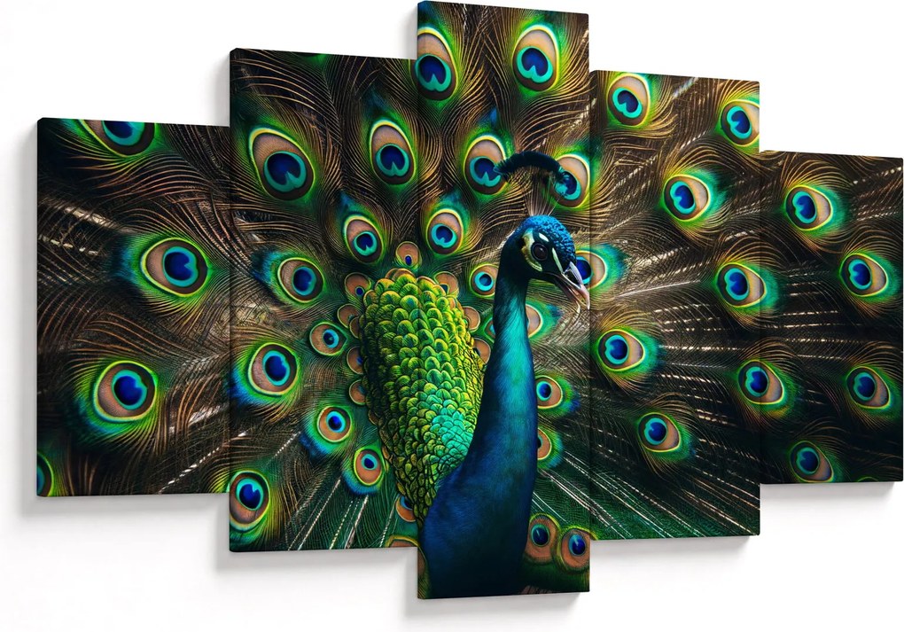 Kép – Pávatoll (150x105 cm)