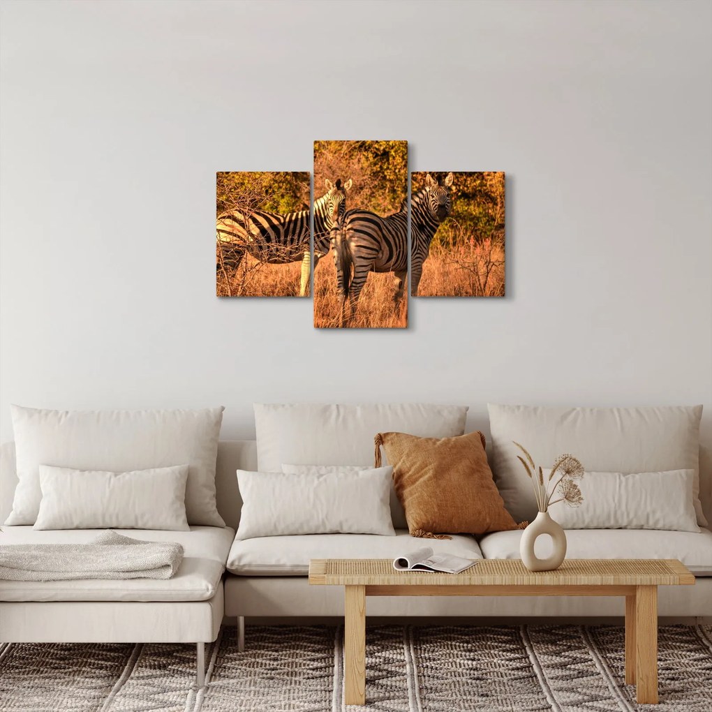 Zebrák képe (90x60 cm)