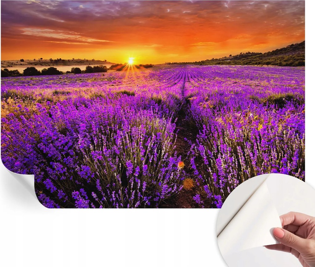 Modern öntapadós fali fotótapéta Levendula nyugat 152x104 cm