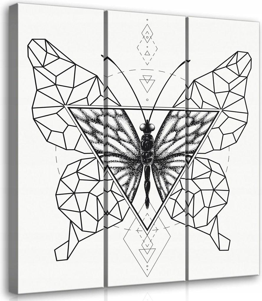 Vászonkép 90x100 Geometrikus pillangó moduláris triptichon minimalizmus művészet