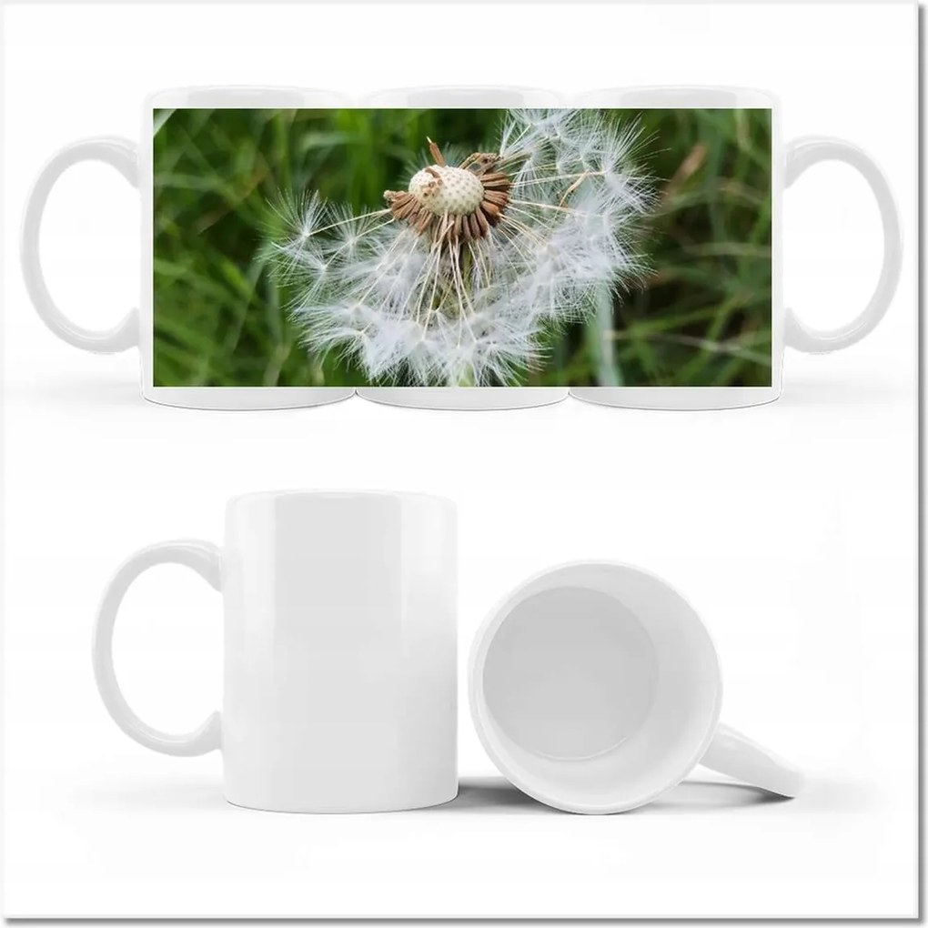 Fotó bögre Pitypang Virág Virágok