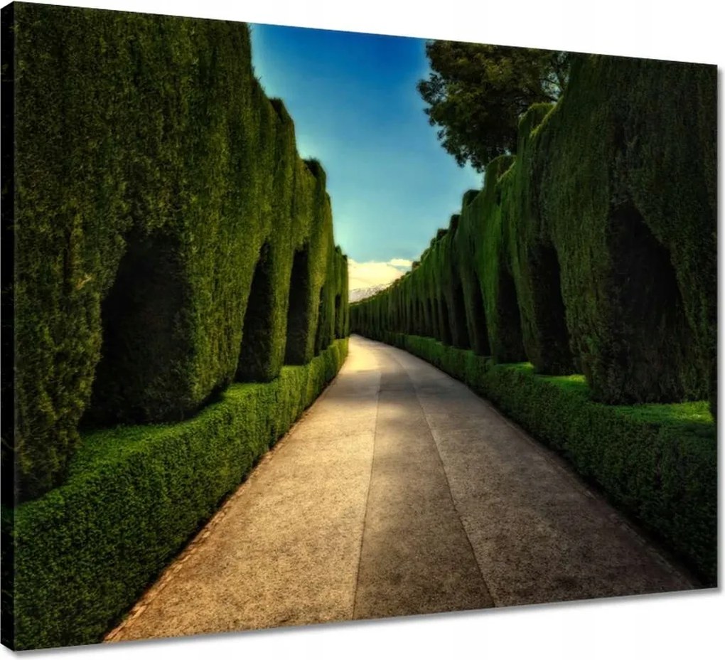 Vászonkép 50x40 Tájkép Látvány