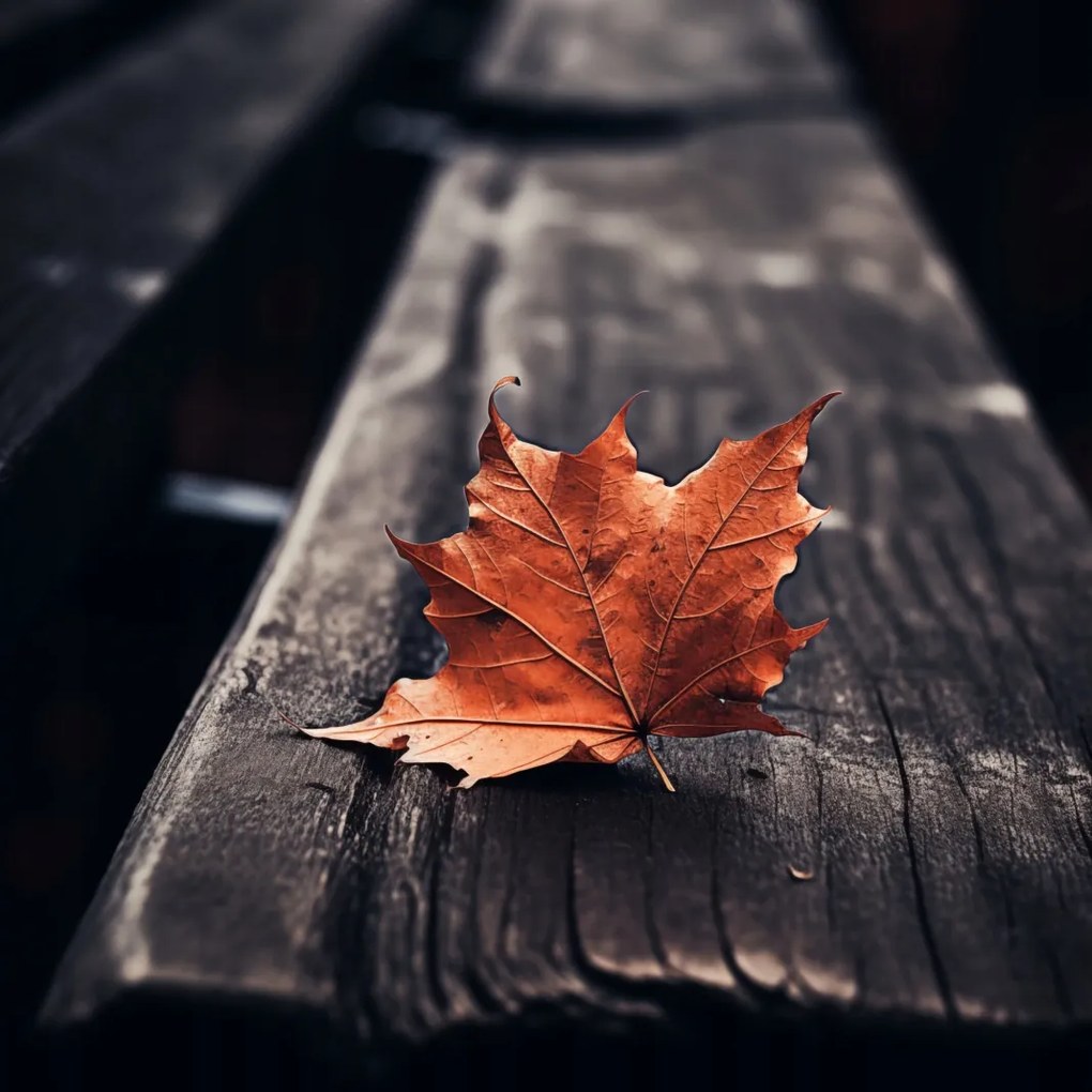 Poszter 30x30cm Egyetlen levél