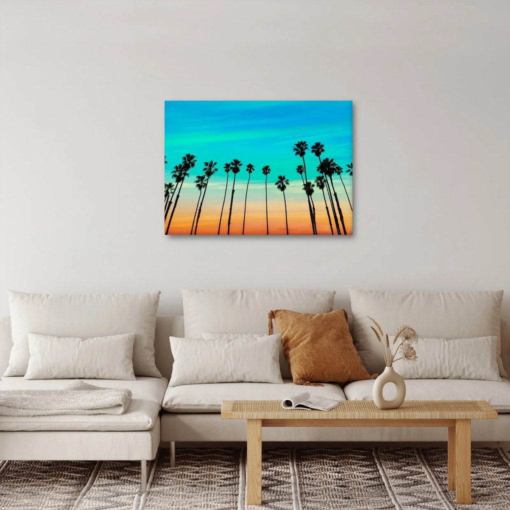 Kép - Kalifornia (70x50 cm)