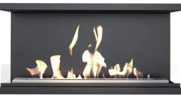 Kratki X-RAY/TUV - Beépíthető bio kandalló X-RAY 50x100 cm 3,5 kW fekete