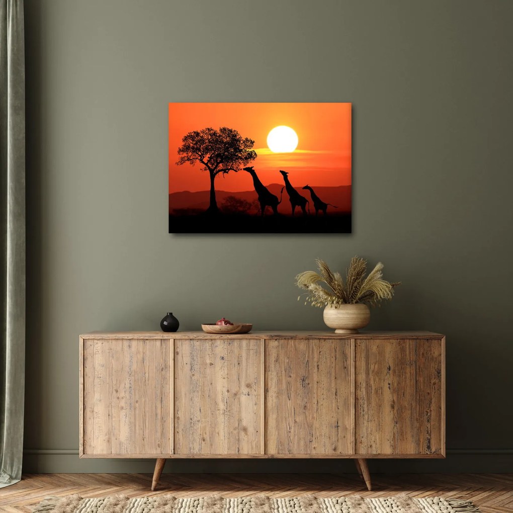 Zsiráfok képe naplementekor (70x50 cm)
