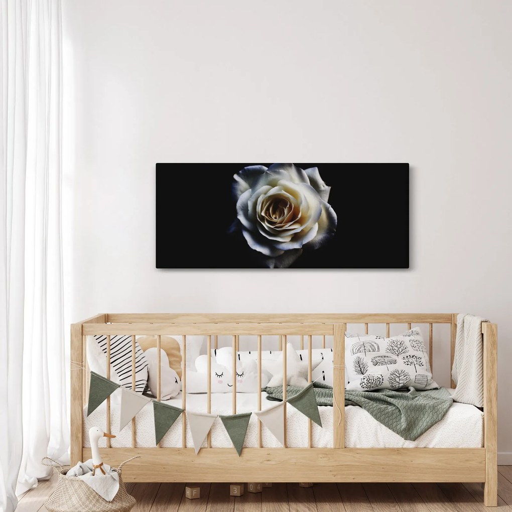 Fehér rózsa képe (120x50 cm)