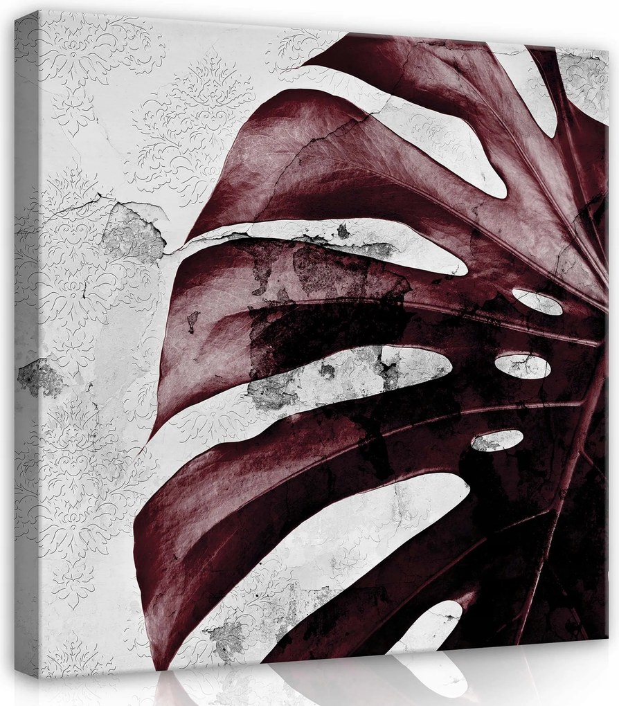 Vászonkép 40x40 Monstera levél bordó vintage textúra absztrakt botanika