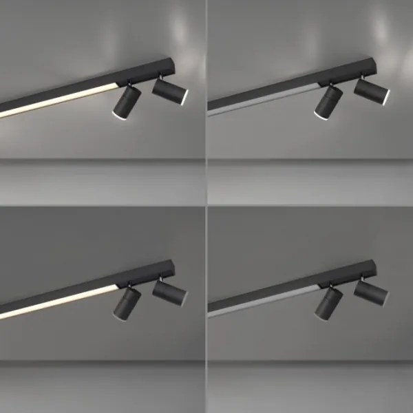 Paul Neuhaus 6121-13 - LED dimmelhető spotlámpa 4xLED/4W/230V + LED/9W+DO