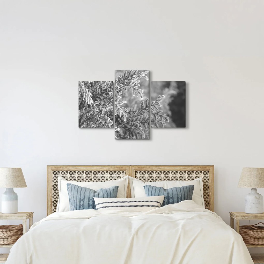 Kép - Lucfenyő erdő (90x60 cm)