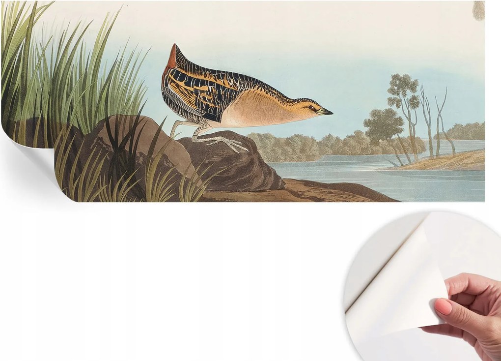 Dekoratív Öntapadós Tapéta Divatos Minták Természetes jelenet 250x104 cm