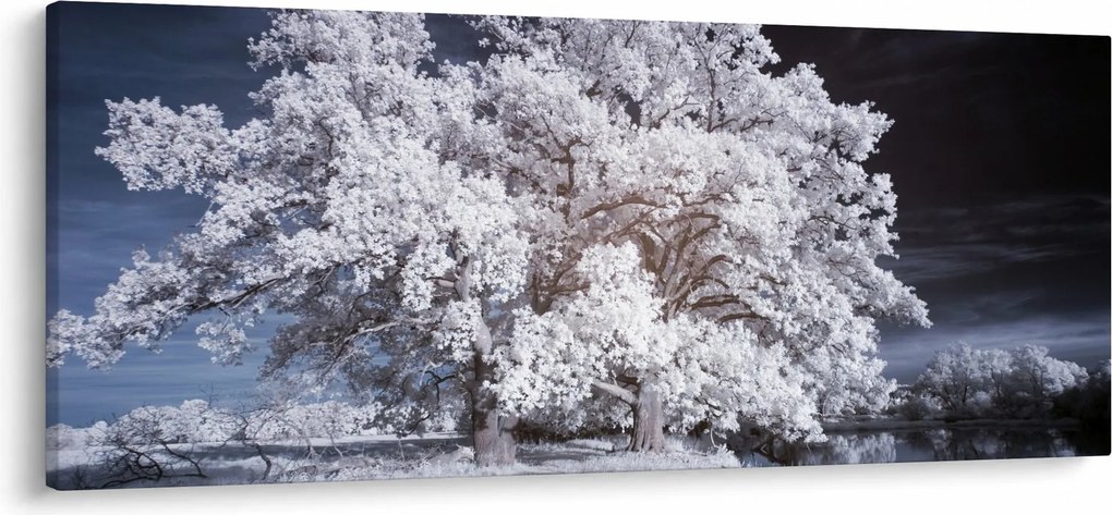 Kép - Hófehérke fa (120x50 cm)