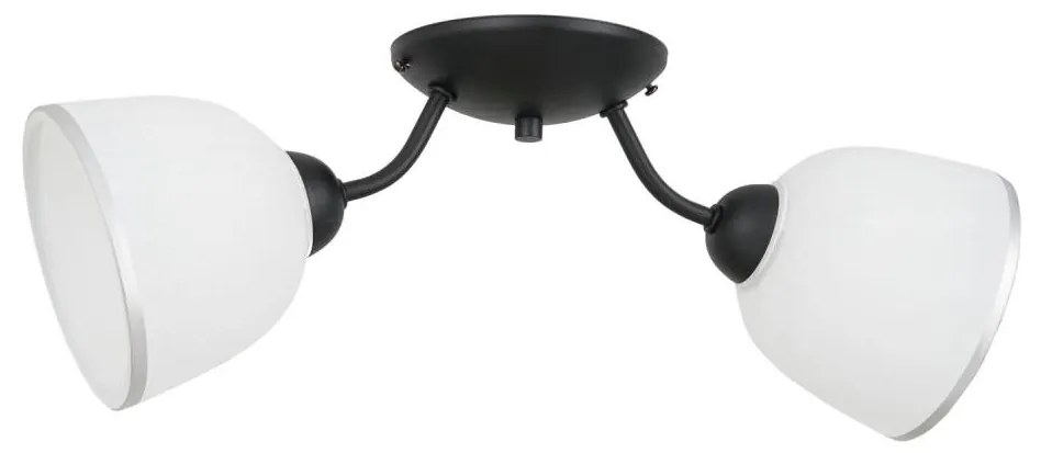 Mennyezeti lámpa AVIA 2xE27/60W/230V