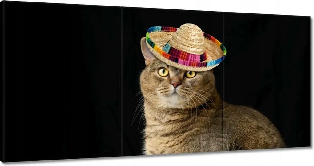 Vászonkép 180x90 Macska kalappal Sombrero