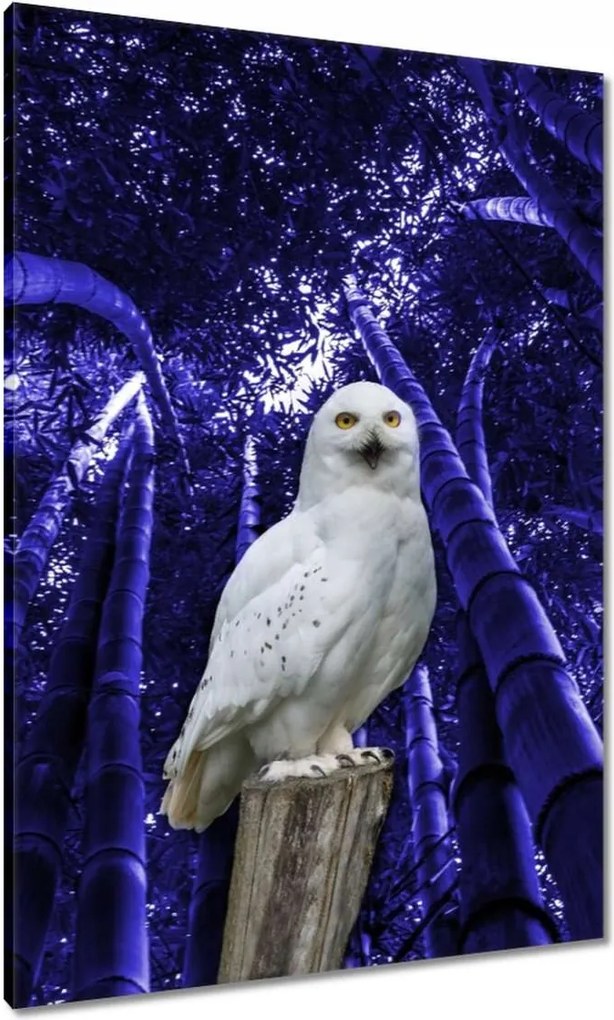 Vászonkép 70x100 Vadász a Bagoly őrsön