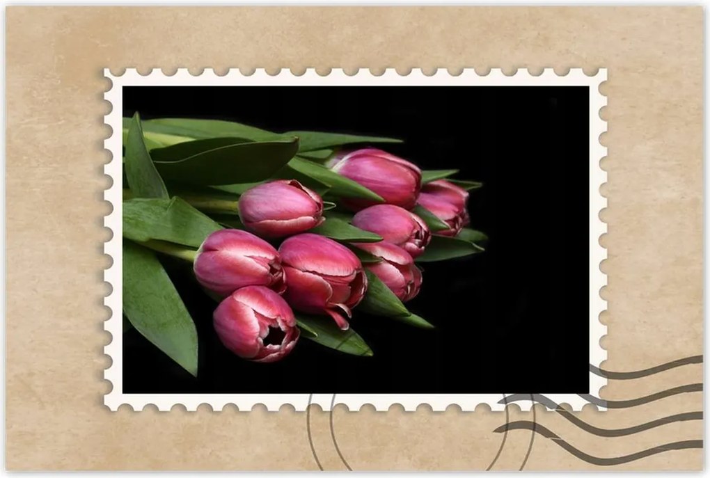 Poszterek 90x60 Zamatos tulipánok