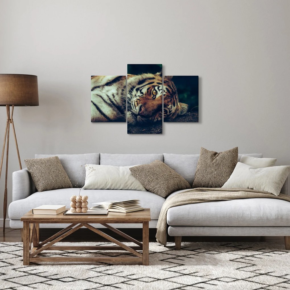 Kép - Szibériai tigris (90x60 cm)