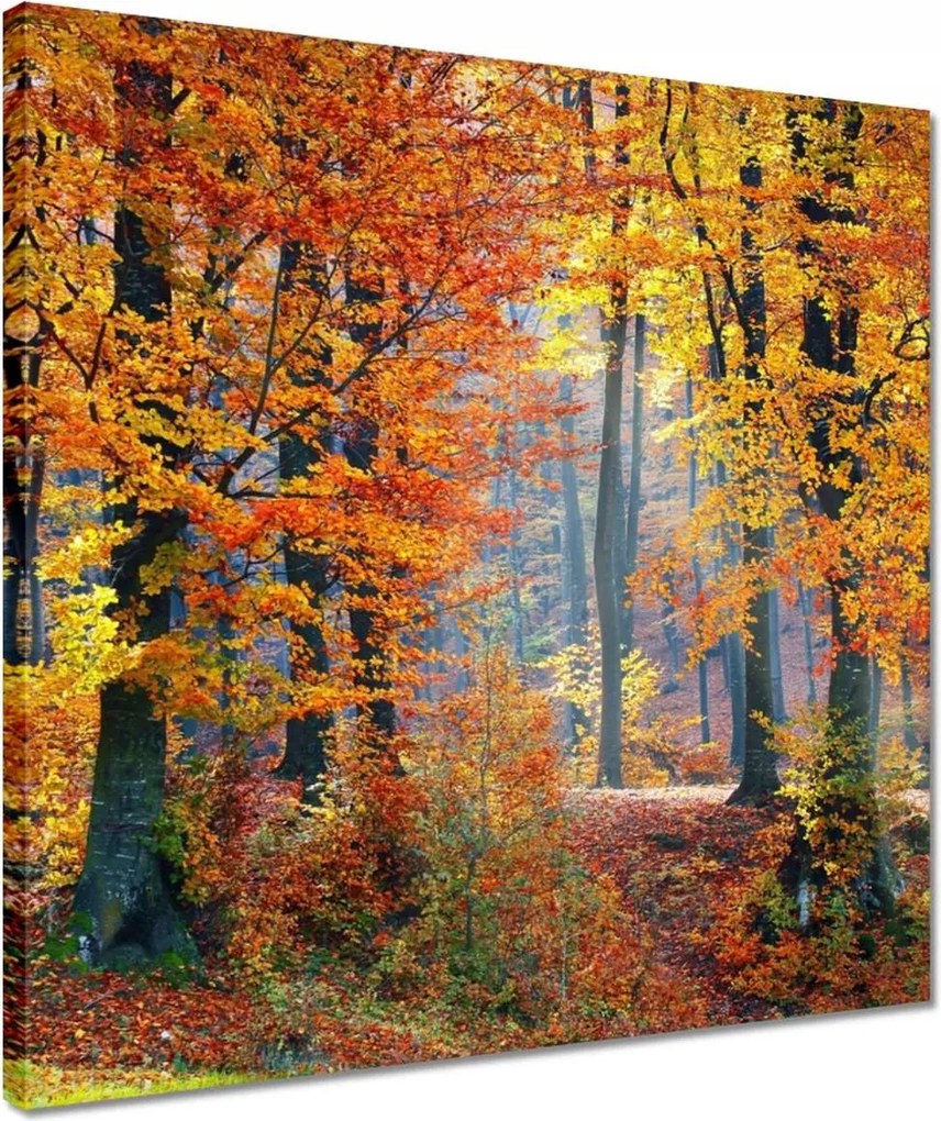 Vászonkép 40x40 Arany ősz