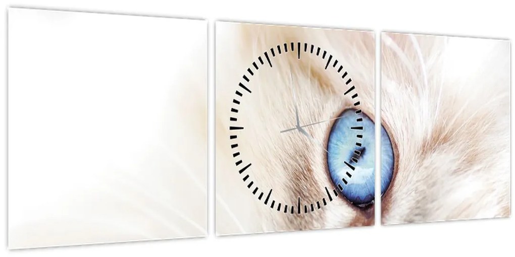 Kép - Cica (órával) (90x30 cm)