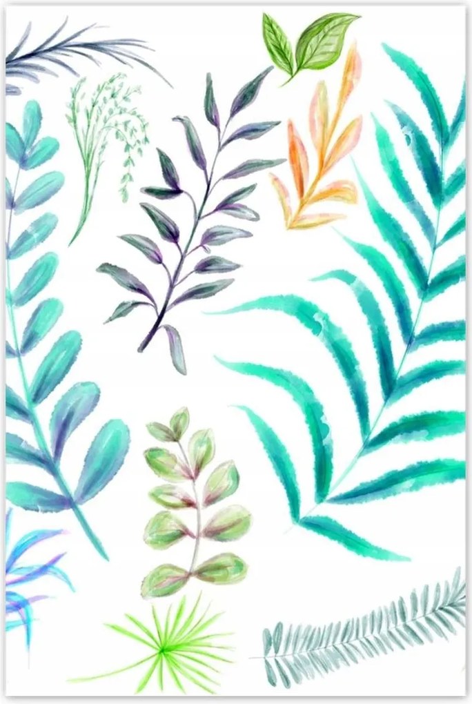 Poszterek 80x120 Trópusi összeállítás