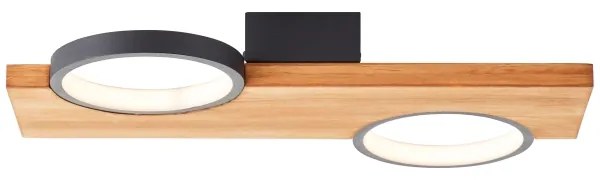 Brilliant - LED Mennyezeti lámpa CHEESY LED/14W/230V