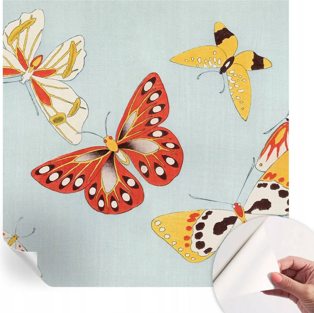 Fotótapéta Falra az Előszoba Konyhába Művészi pillangók 250x250 cm