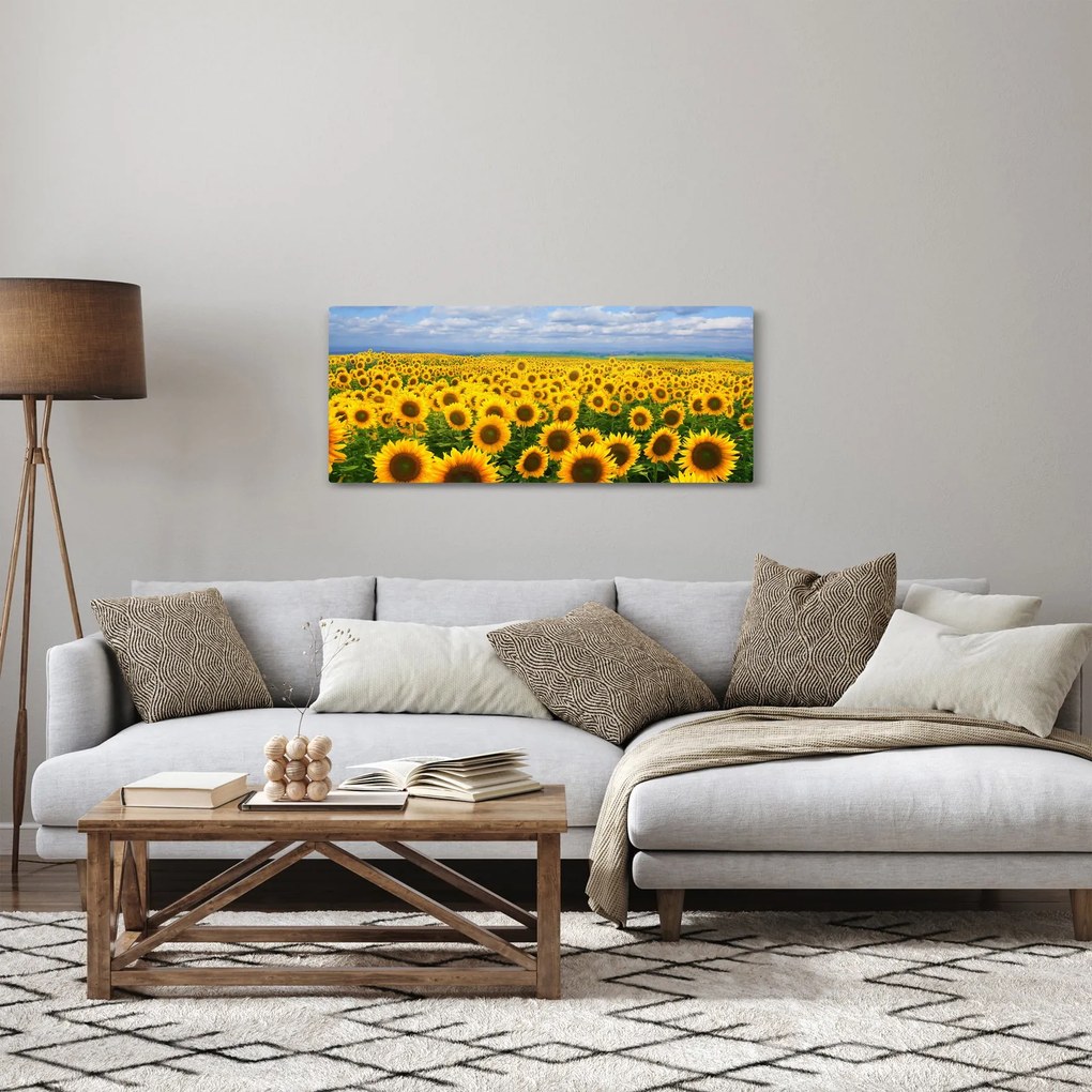 A napraforgó mező képe (120x50 cm)