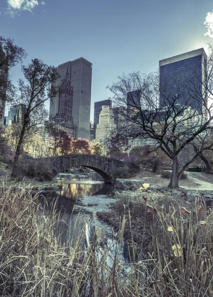 Poszter 39,5x55cm Kilátás a Central Park hídjára, Assaf Frank