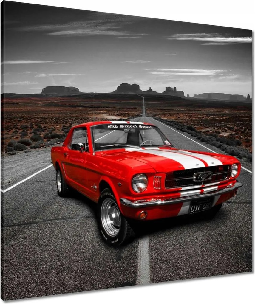 Vászonkép 80x80 Ford Mustang