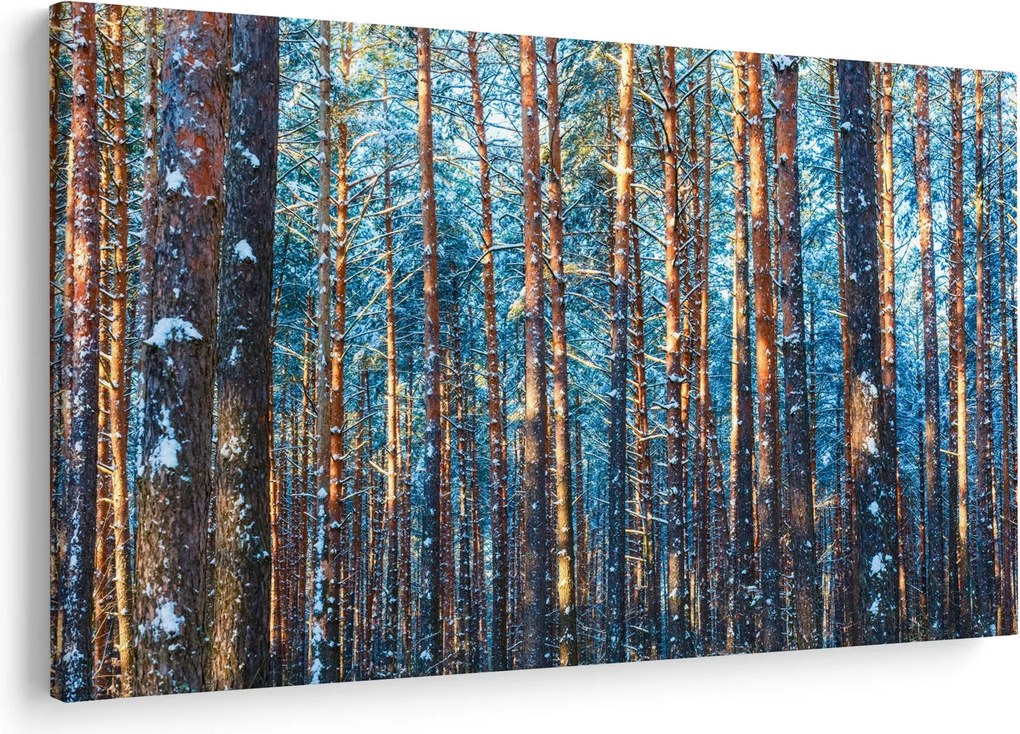 Kép - téli erdő (90x60 cm)