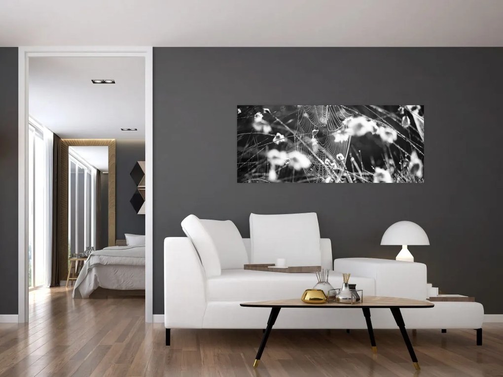 Kép - Pókháló a réten (120x50 cm)