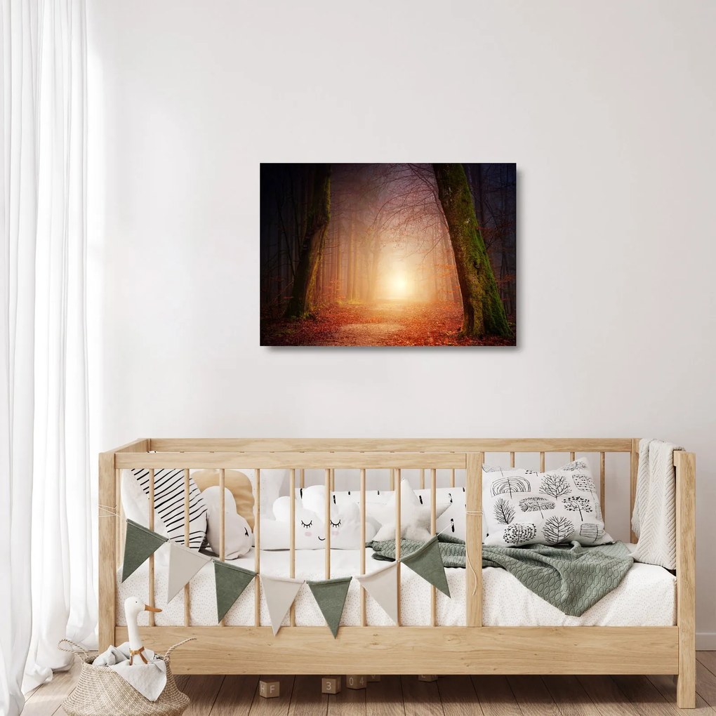 Őszi erdő képe a ködben (üvegen) (70x50 cm)