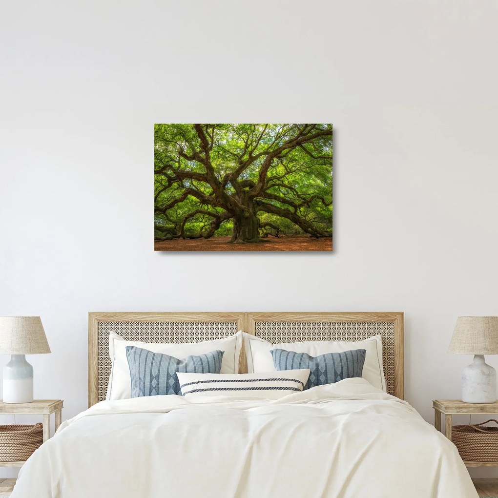 Üveg kép - Zöld fa (70x50 cm)